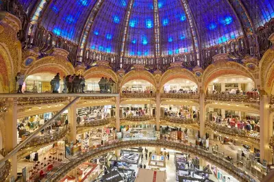 Supermarché ou boutique de l'appartement ou à proximité