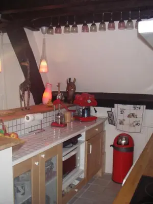 Cuisine ou kitchenette dans l'établissement Appartement dans le Marais avec terrasse