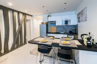Cuisine ou kitchenette dans l'établissement Appartement Moderne Notre-Dame de Paris
