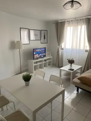 Télévision ou salle de divertissement dans l'établissement Appartement 2 pièces avec Projecteur à 100m du métro