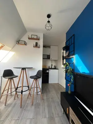 Cuisine ou kitchenette dans l'établissement Studio in le Marais SILM