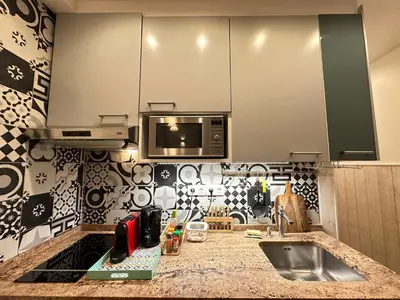 Cuisine ou kitchenette dans l'établissement Paris 15 Studio Ground Floor