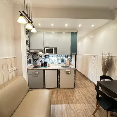 Cuisine ou kitchenette dans l'établissement Paris 15 Studio Ground Floor