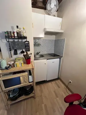 Cuisine ou kitchenette dans l'établissement Cozy studio Bastille