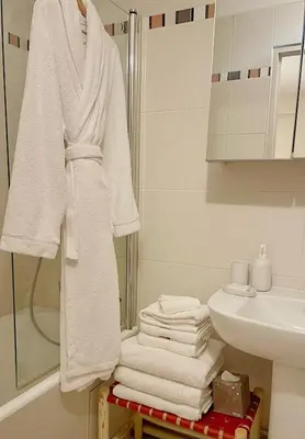 Salle de bains dans l'établissement Appartement Swan House Paris Champs Elysée