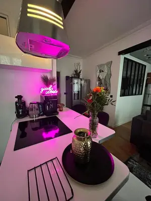 Cuisine ou kitchenette dans l'établissement Paris Expo Porte de Versailles confort appartement