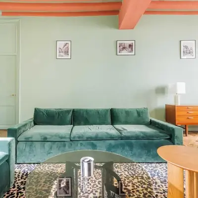 Superb apartment near Notre-Dame Cathedral - Mobility lease