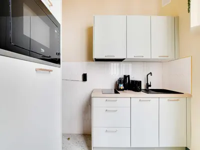 Cuisine ou kitchenette dans l'établissement Modern flat 1 BDR 2P - Marais district