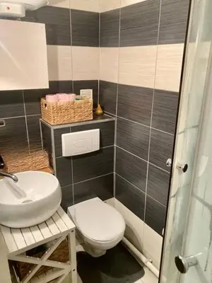 Salle de bains dans l'établissement Appartement Paris 15