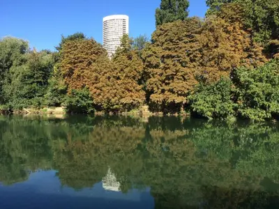 Vue sur la rivière ou le fleuve situé(e) à proximité de l'appartement