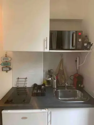 Cuisine ou kitchenette dans l'établissement Entire Studio - Arena La Chapelle