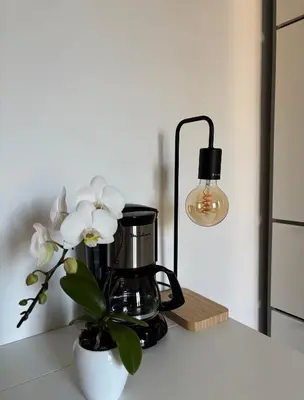 Plan de l'établissement Bright studio