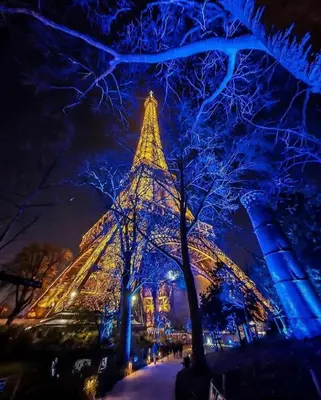 Plan de l'établissement Paris, la plus belle ville du monde!