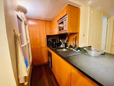 Cuisine ou kitchenette dans l'établissement Appartement Musée du Louvre Paris