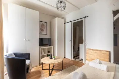 Télévision ou salle de divertissement dans l'établissement Studio cozy à Grenelle
