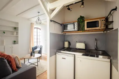 Cuisine ou kitchenette dans l'établissement Studio cozy à Grenelle