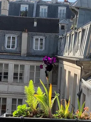 Plan de l'établissement Marais Favorite