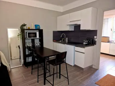 Cuisine ou kitchenette dans l'établissement Apartment Cachan