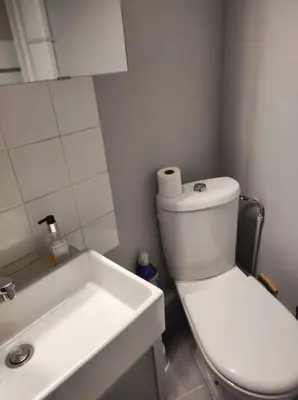 Salle de bains dans l'établissement Jardin mini maison