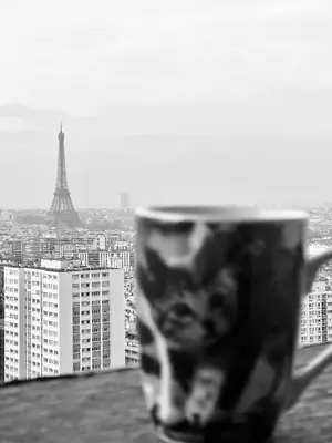 Vue générale sur Paris ou vue de la ville depuis le séjour chez l'habitant