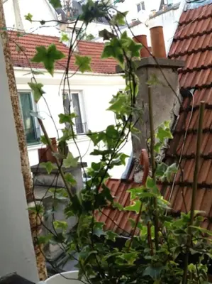Jardin de l'établissement Studio en plein cœur de Paris