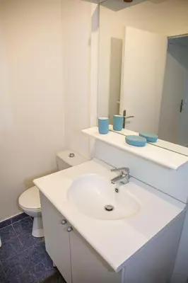 Salle de bains dans l'établissement Spacieux 2 pièces avec place de parking , la Villette