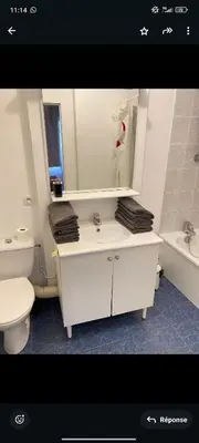 Salle de bains dans l'établissement Spacieux 2 pièces avec place de parking , la Villette