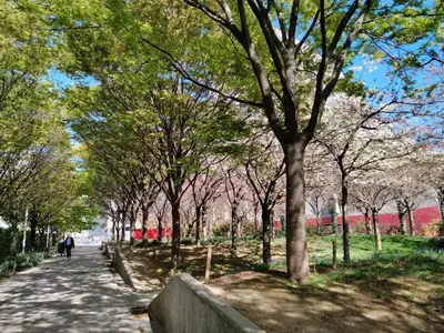 Jardin de l'établissement Batignolles chic 75 m2