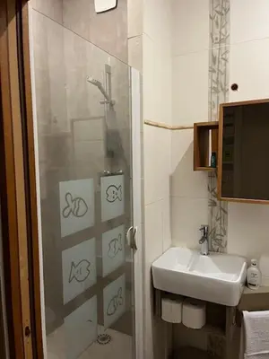 Salle de bains dans l'établissement Appartement charmant à Paris 20 eme