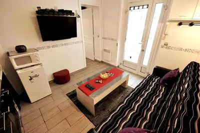 Télévision ou salle de divertissement dans l'établissement Warm and comfortable studio in Montmartre