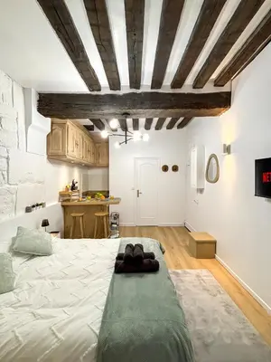 Un ou plusieurs lits dans un hébergement de l'établissement Le Columba-Studio Parisien Saint-Germain