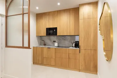 Cuisine ou kitchenette dans l'établissement Luxury Apartment Saint Honore I
