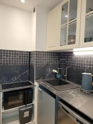 Cuisine ou kitchenette dans l'établissement Studio cosy 21m2 rénové 75019
