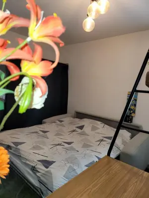 Un ou plusieurs lits dans un hébergement de l'établissement Studio cosy 21m2 rénové 75019