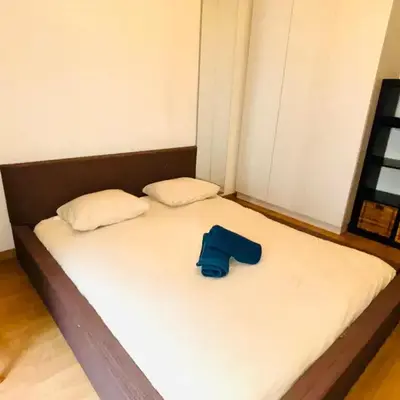 Appartement Tour Eiffel ALESIA PARIS