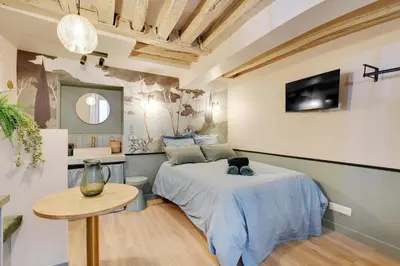Télévision ou salle de divertissement dans l'établissement Cozy studio in Le Marais - fully equipped