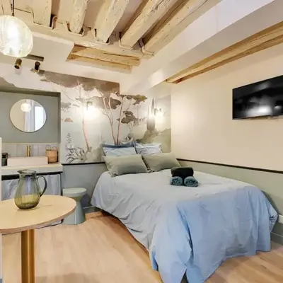Cozy studio in Le Marais - fully equipped