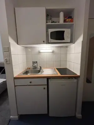 Cuisine ou kitchenette dans l'établissement Studio in Issy Les Moulineaux