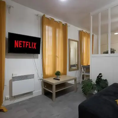 Splendid Studio Apartment Quartier Les Marais Free Netflix
