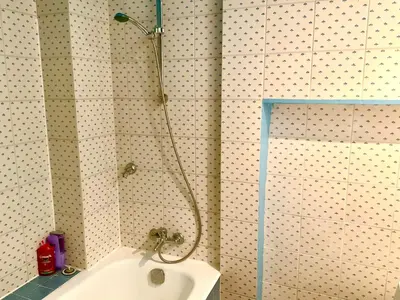 Salle de bains dans l'établissement Bel appartement ancien sur cour verdoyante
