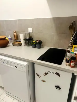 Cuisine ou kitchenette dans l'établissement Seine-Side Haven