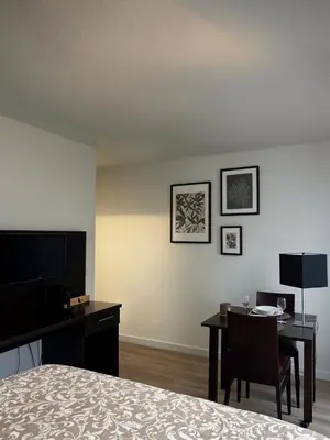 Télévision ou salle de divertissement dans l'établissement Studio de 25m2 à proximité immédiate de Paris Expo, Porte de Versailles