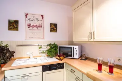 Cuisine ou kitchenette dans l'établissement Le Daguerre
