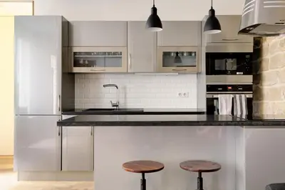 Cuisine ou kitchenette dans l'établissement l'authentique coeur de Paris