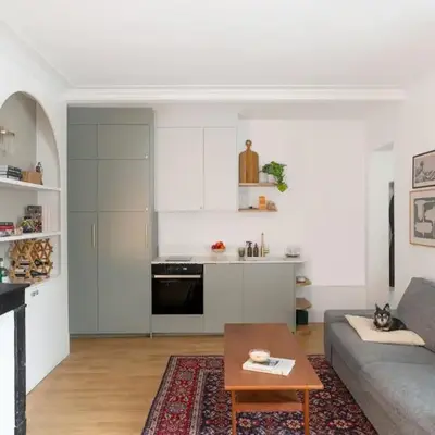 Minimalist Haussmannian Paris 11
