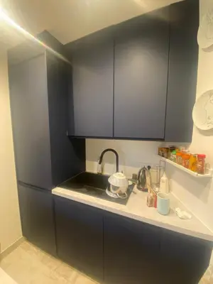 Cuisine ou kitchenette dans l'établissement 2 pièces lumineux à deux pas de la Tour Eiffel