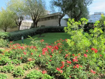 Jardin de l'établissement Paris en hauteur