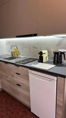 Cuisine ou kitchenette dans l'établissement Large studio apartment Invalides Montparnasse