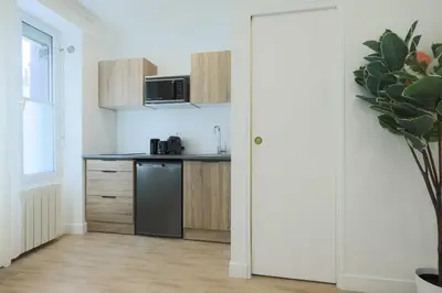 Cuisine ou kitchenette dans l'établissement Flat 1BDR 2P Roland Garros Parc des