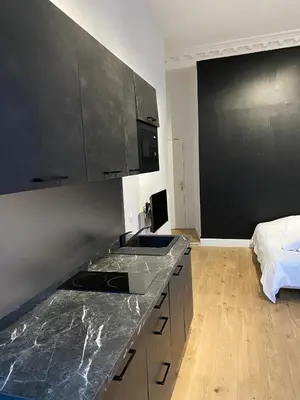 Cuisine ou kitchenette dans l'établissement Studio Grand Rex